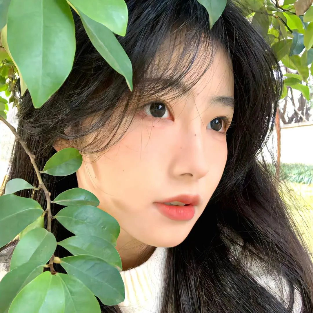 趴体生活